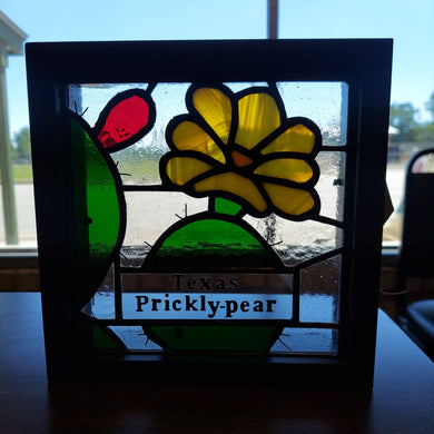 Framed Art- Prickly Pear