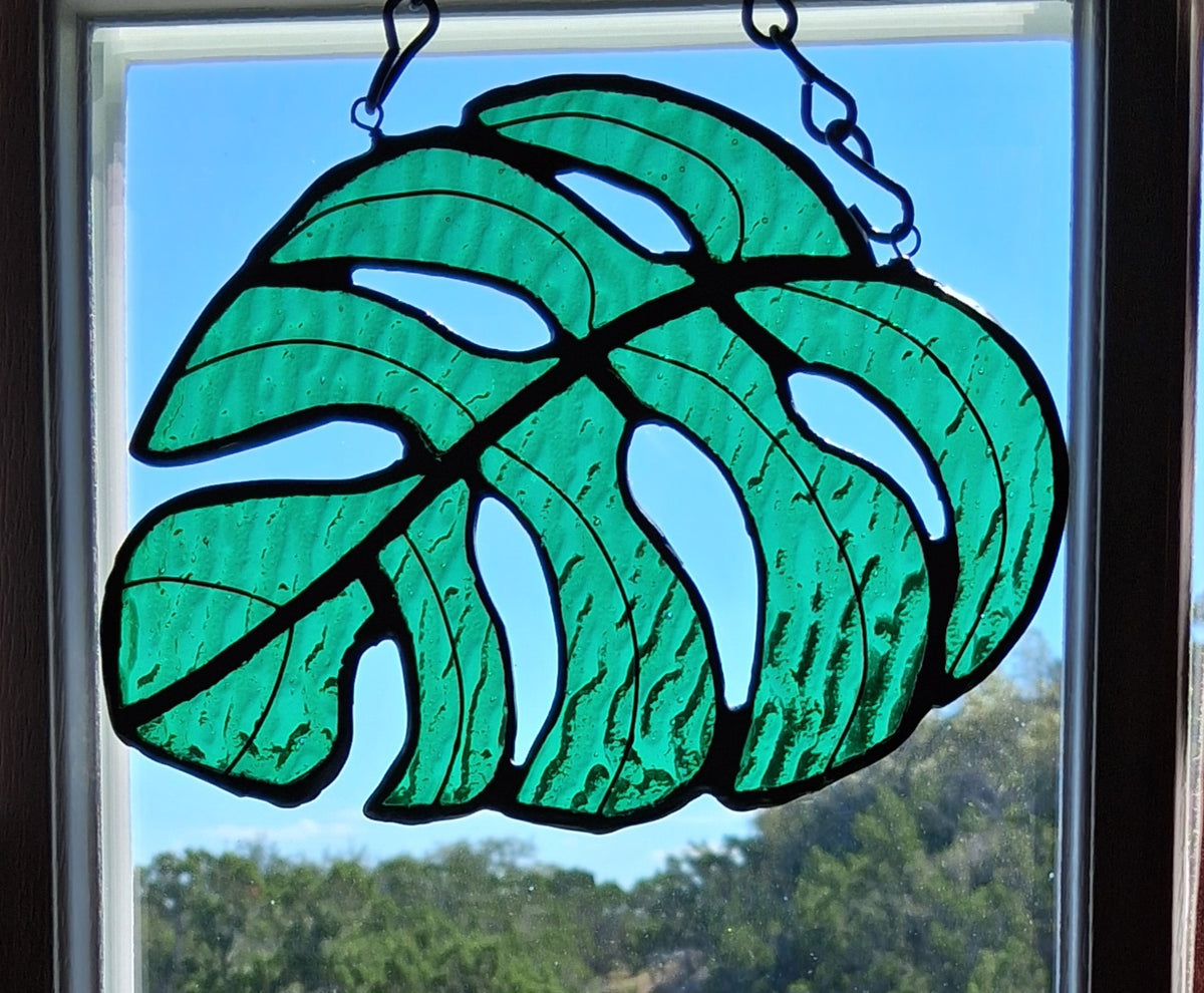 Monstera leaf