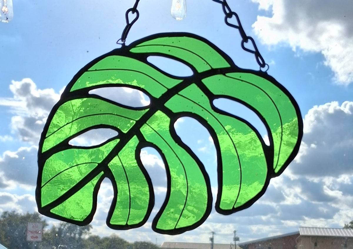 Monstera leaf 1