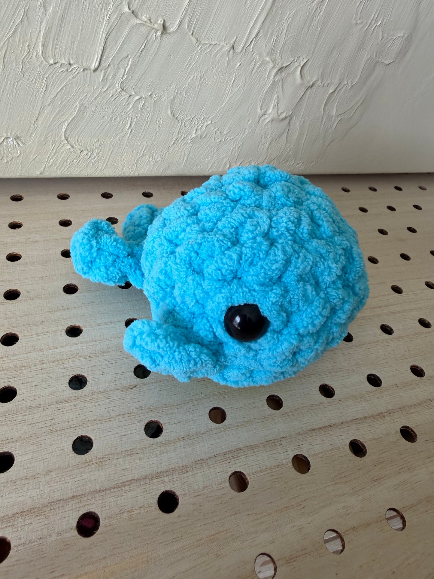 Pocket Sized Whale