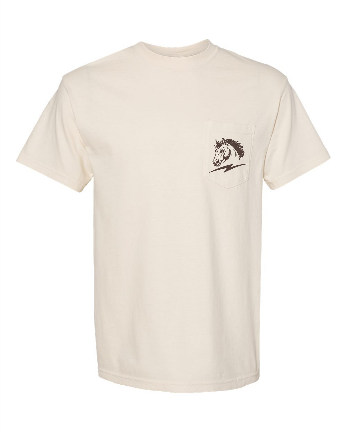 Retro Texas Chargers
