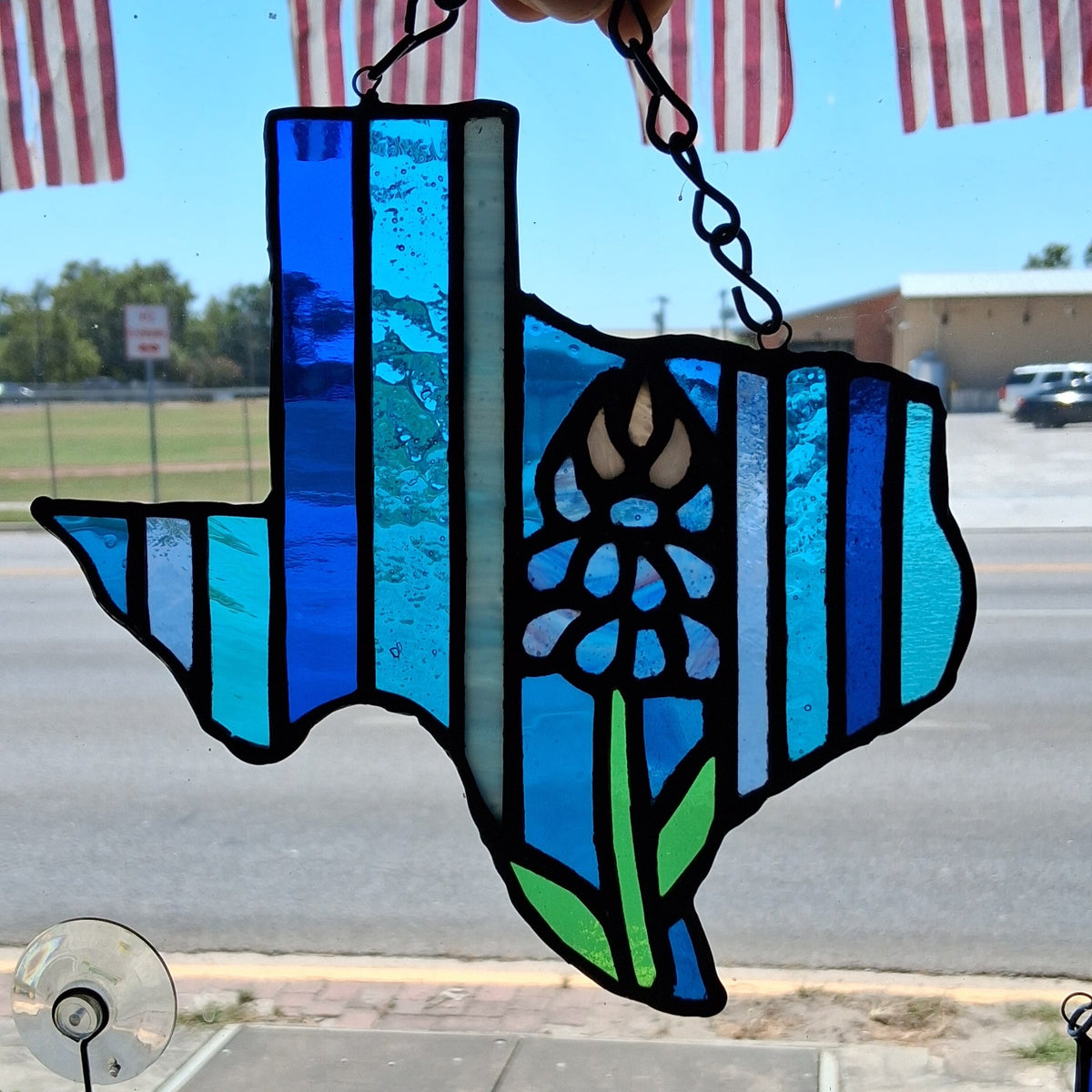 Bluebonnet Texas