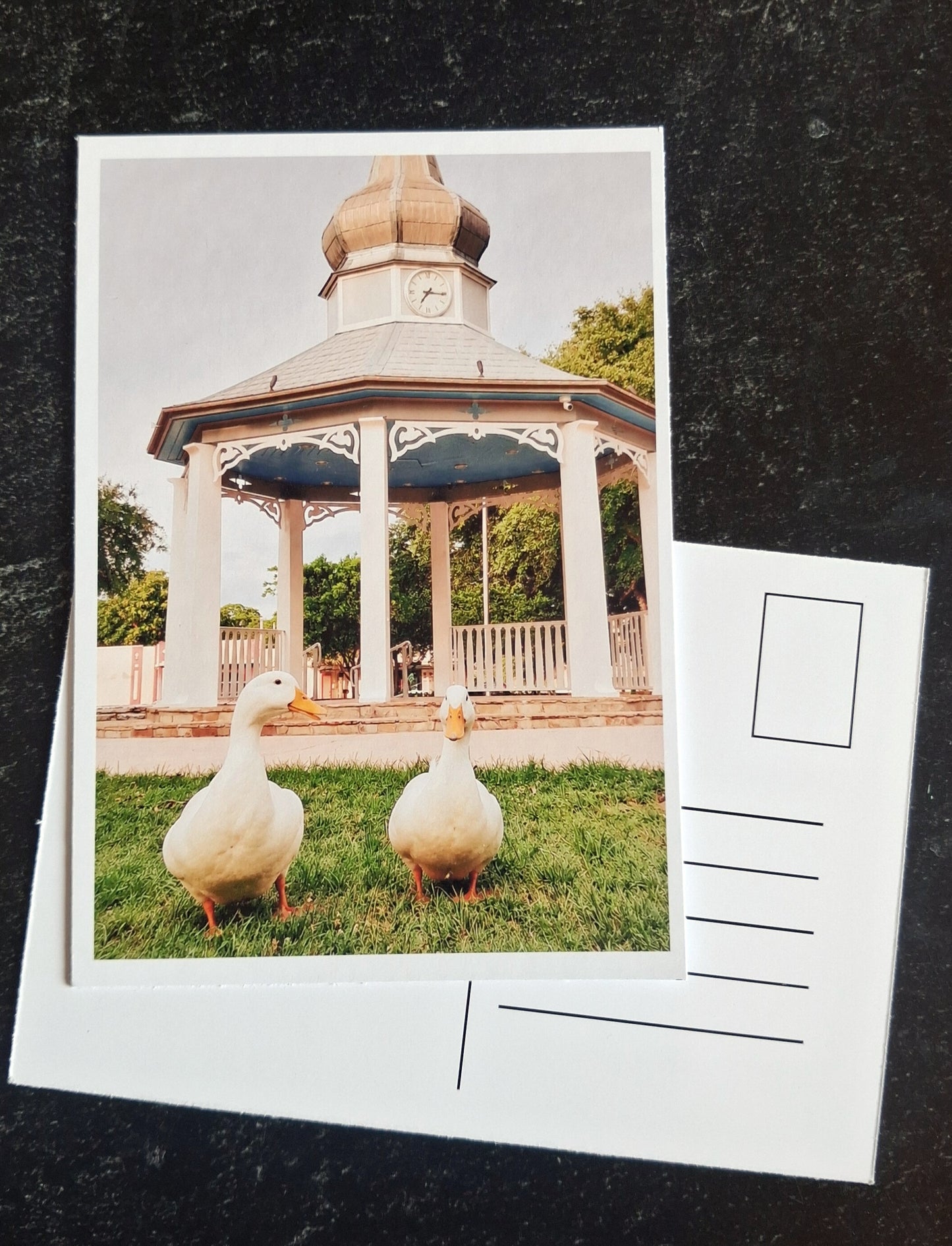 Mini Postcard- Ducks & Gazebo