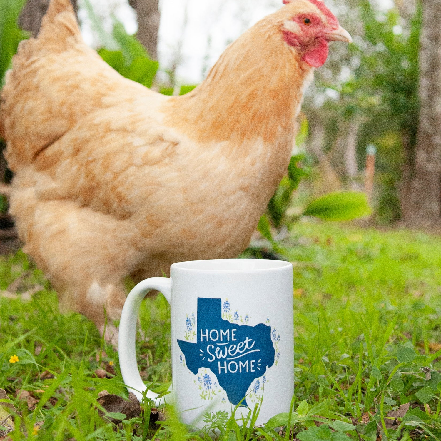 TOTALLY TEXAS
