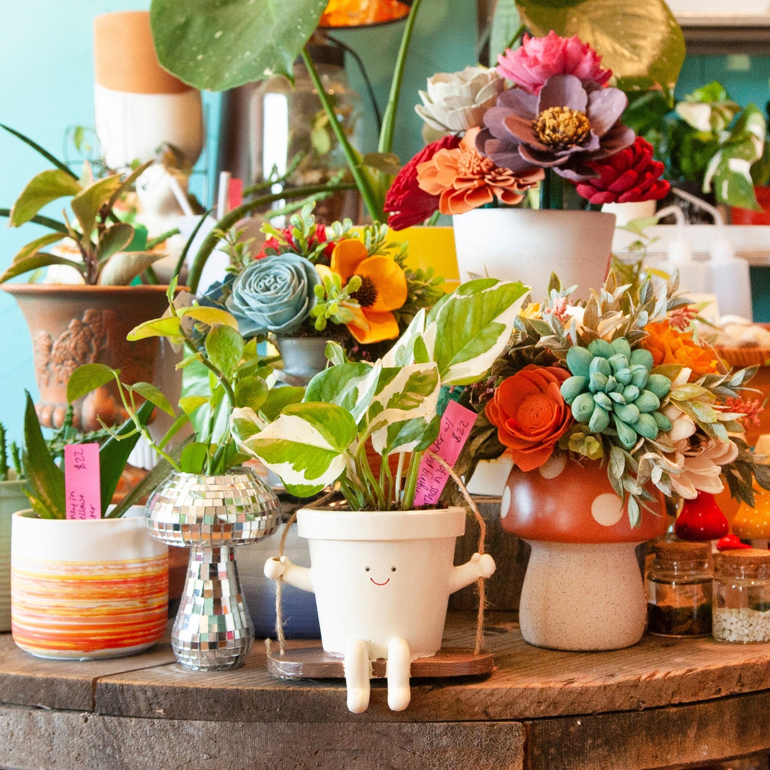 PLANTS & ARRANGEMENTS