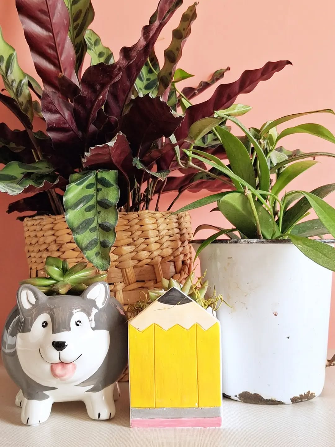 CRAZY PLANT LOVEE