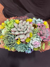 Large Sola Wood succulent flowers arranged in a wood bowl