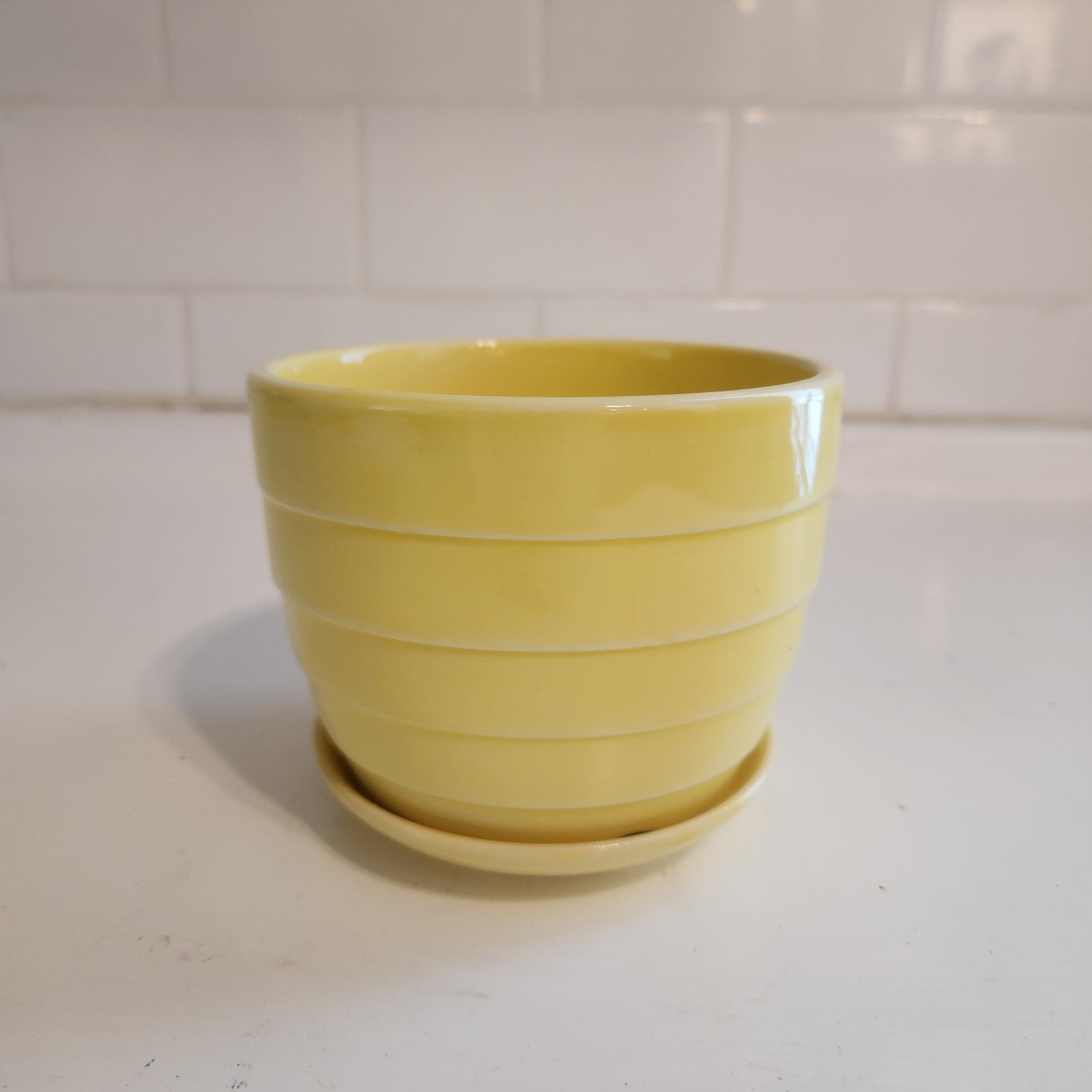 Planters and trays