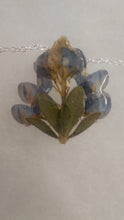 TEXAS BLUEBONNETS Collection