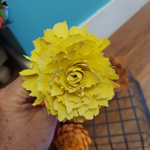 Ball point pens with hand painted sola wood flower