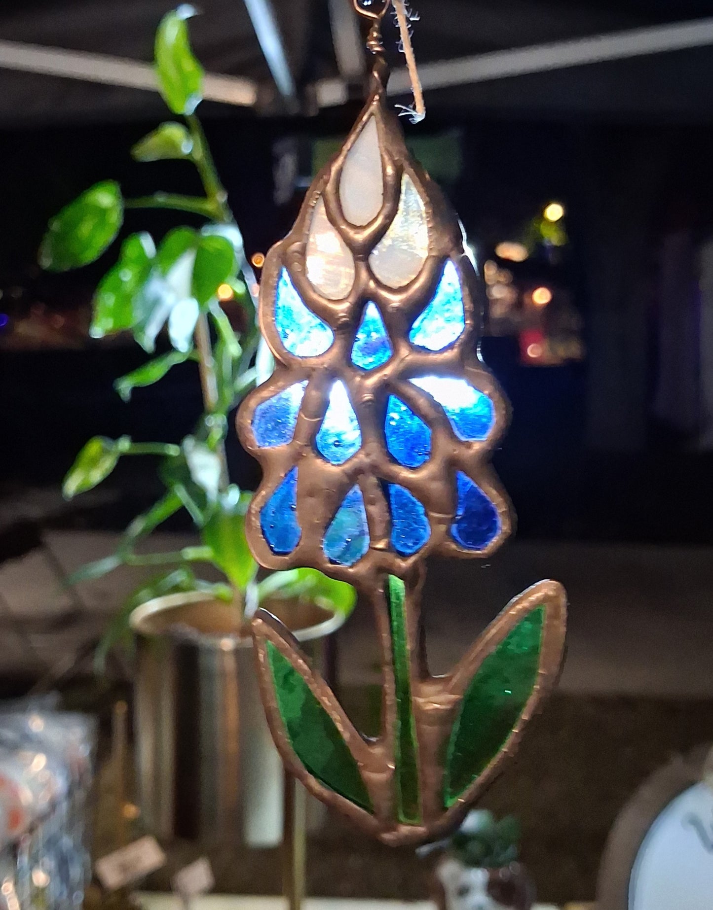 Individual Bluebonnet
