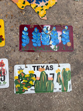 Hand painted Texas license plates