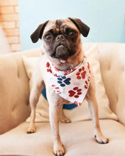 Bandana- Patriotic Paw Prints