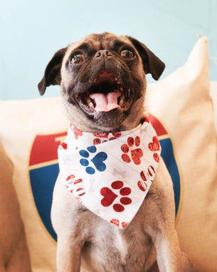 Bandana- Patriotic Paw Prints