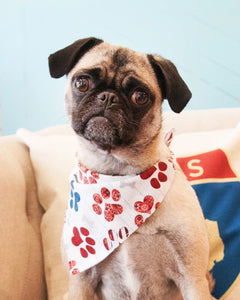 Bandana- Patriotic Paw Prints