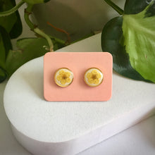 Real Flower Round Stud Earring