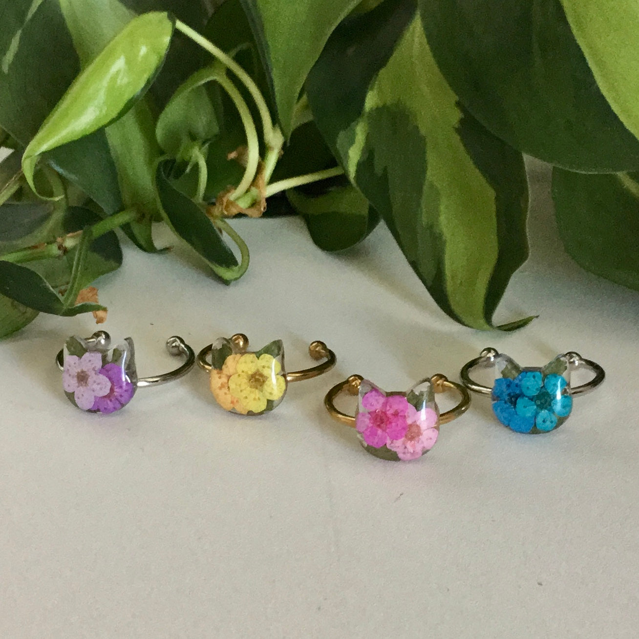 Real Flower Cat Ring