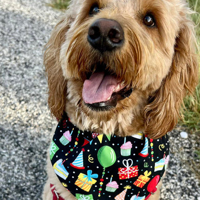 Dog Bandana- Birthday Pawtay Time