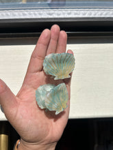 Hair Clip- Seashell