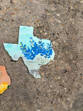 Texas wildflower wall decor