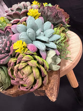 Large Sola Wood succulent flowers arranged in a wood bowl