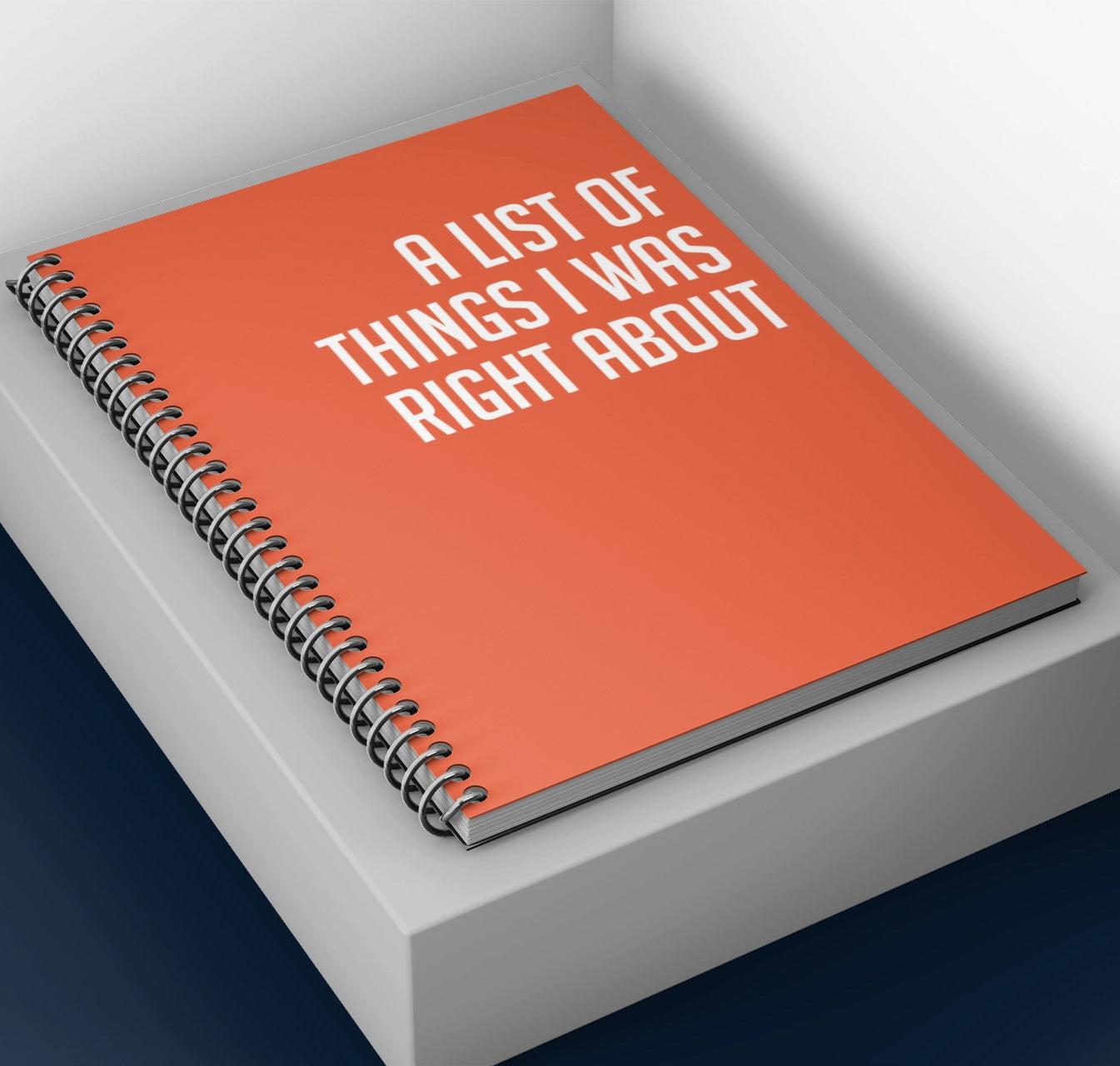 Snarky Notebook- A LIST OF THINGS I WAS RIGHT ABOUT