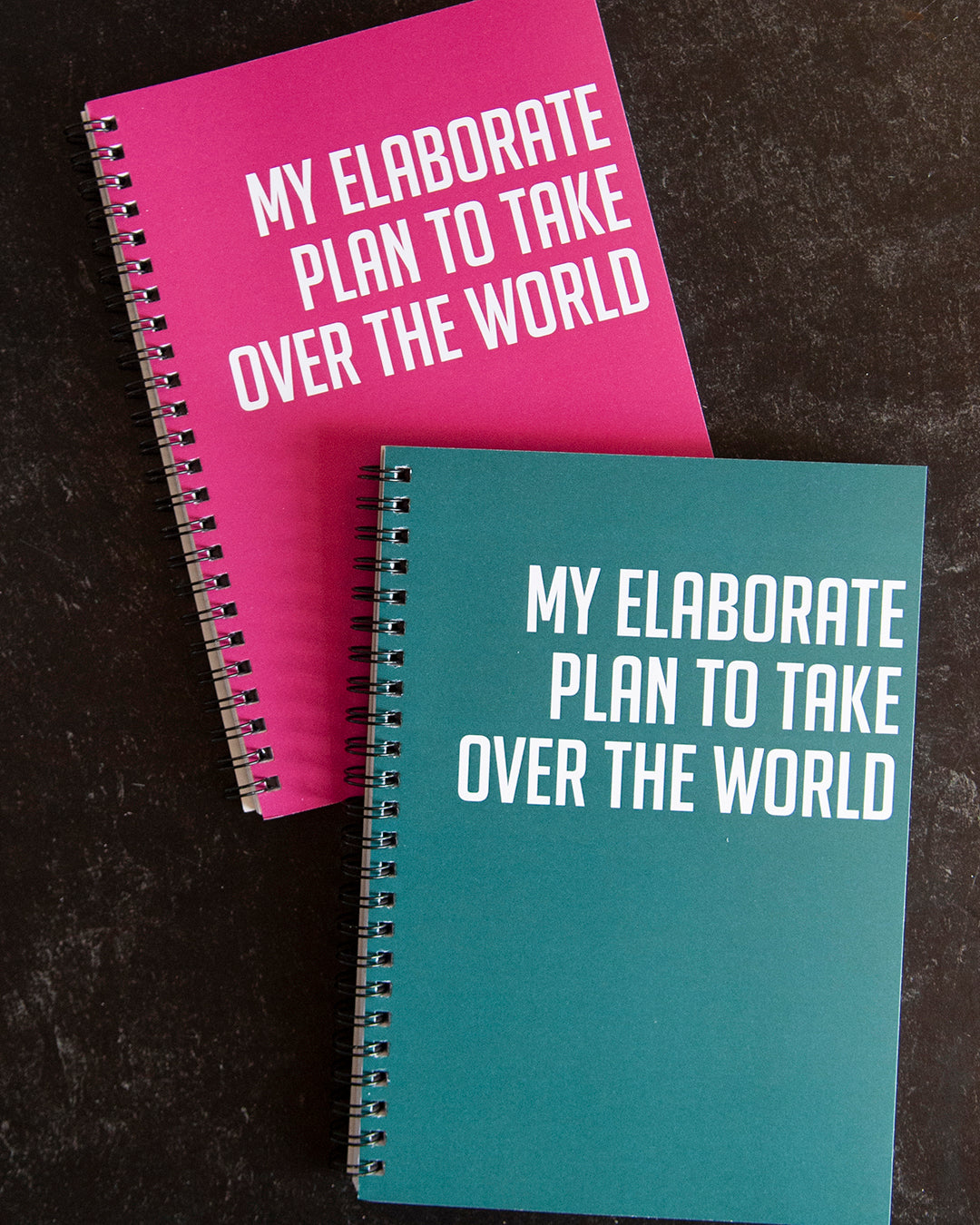 Snarky Notebook- MY ELABORATE PLAN TO TAKE OVER THE WORLD