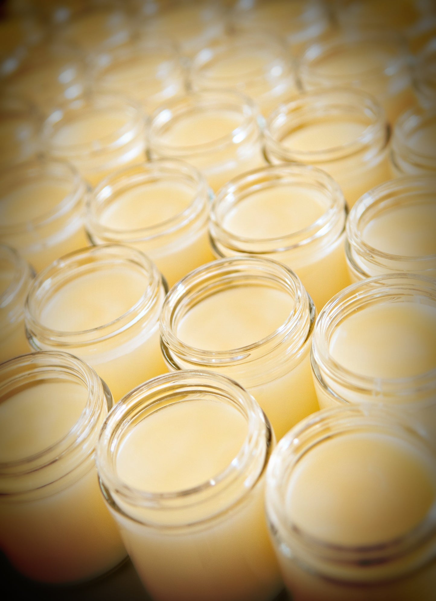 Wholesale All-Purpose Salves- MSRP $9 each and $24 each