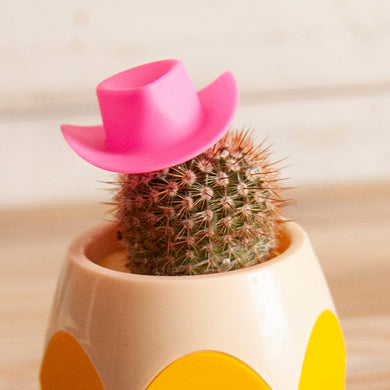 Plant buddies, tags and decor