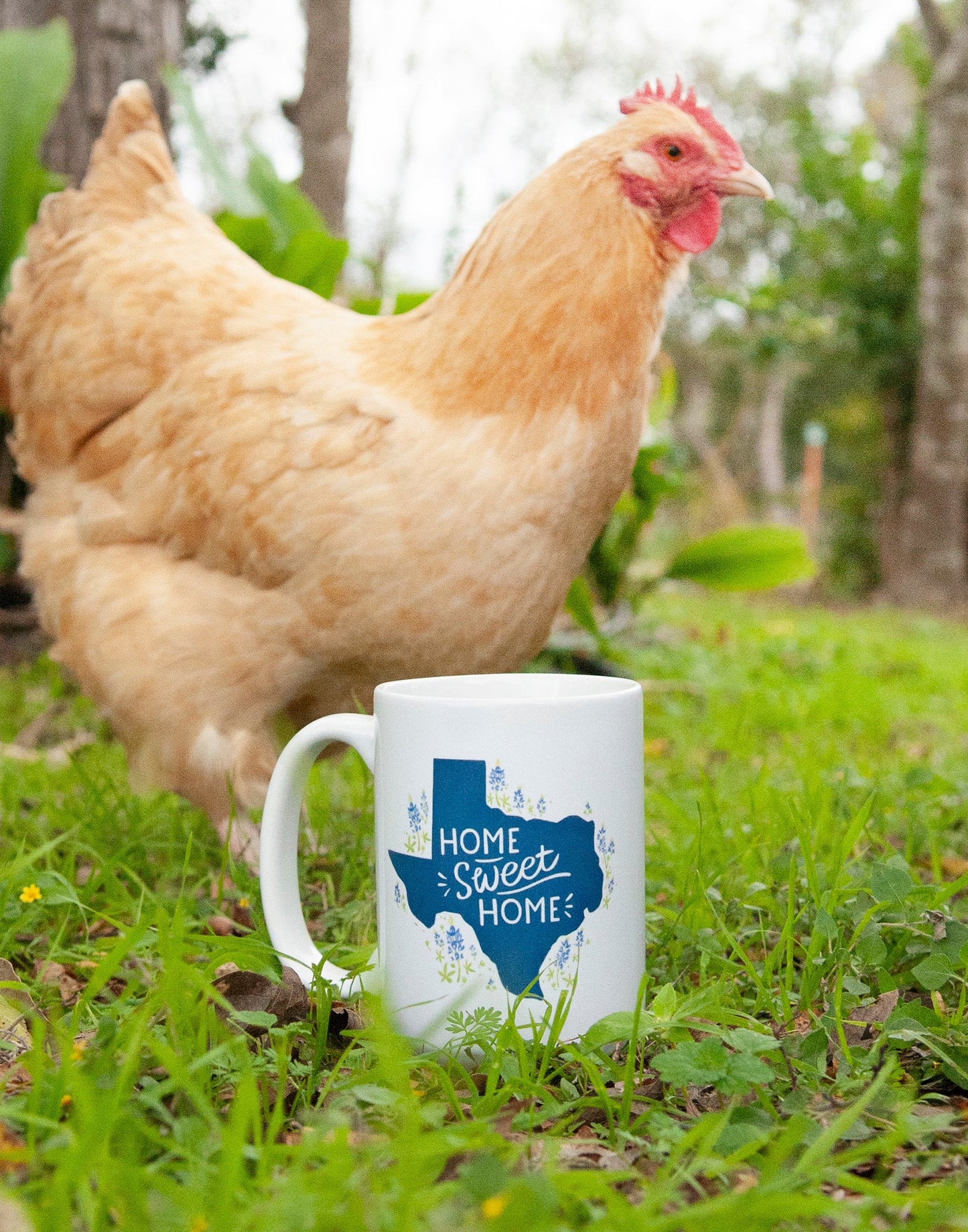 Mugs- Texas