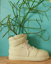 Succulents, Cacti and air plants