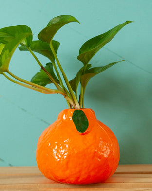 Propagation