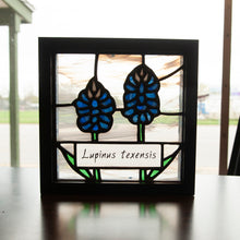 Framed Art- Bluebonnets