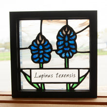 Framed Art- Bluebonnets