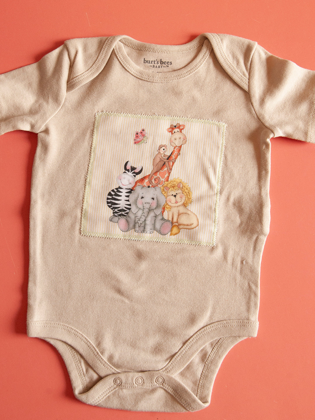 Baby Onesies- 3 to 6 months