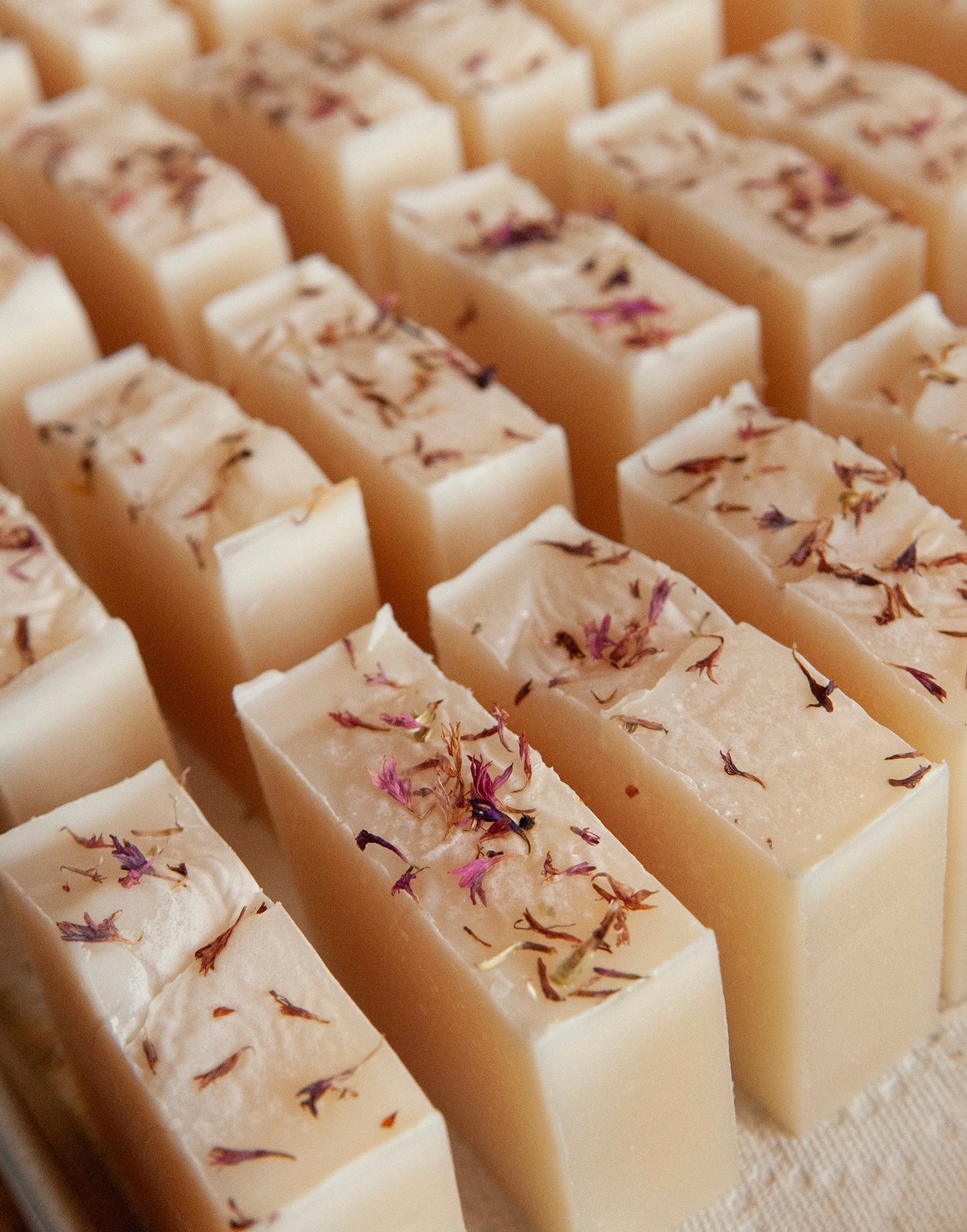 Wholesale Coconut Oil Bar Soaps- MSRP $8 each