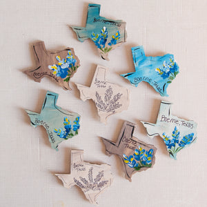 Magnets- Boerne and Bluebonnets