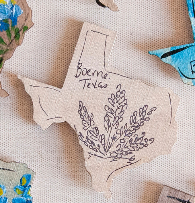 Magnets- Boerne and Bluebonnets