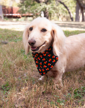 Bandana- Candy Corns