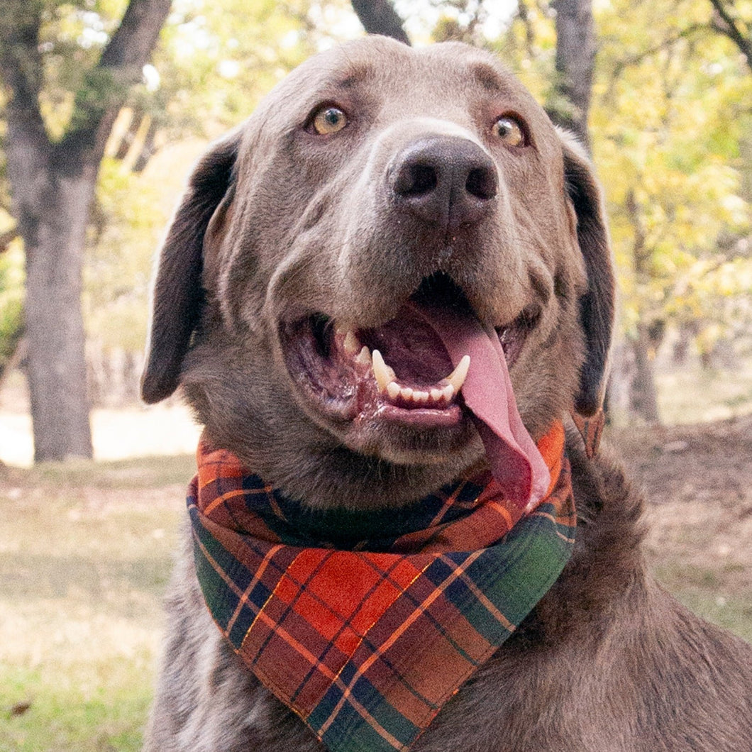 Bandana- Autumn Plaid