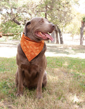 Bandana- Burnt Orange