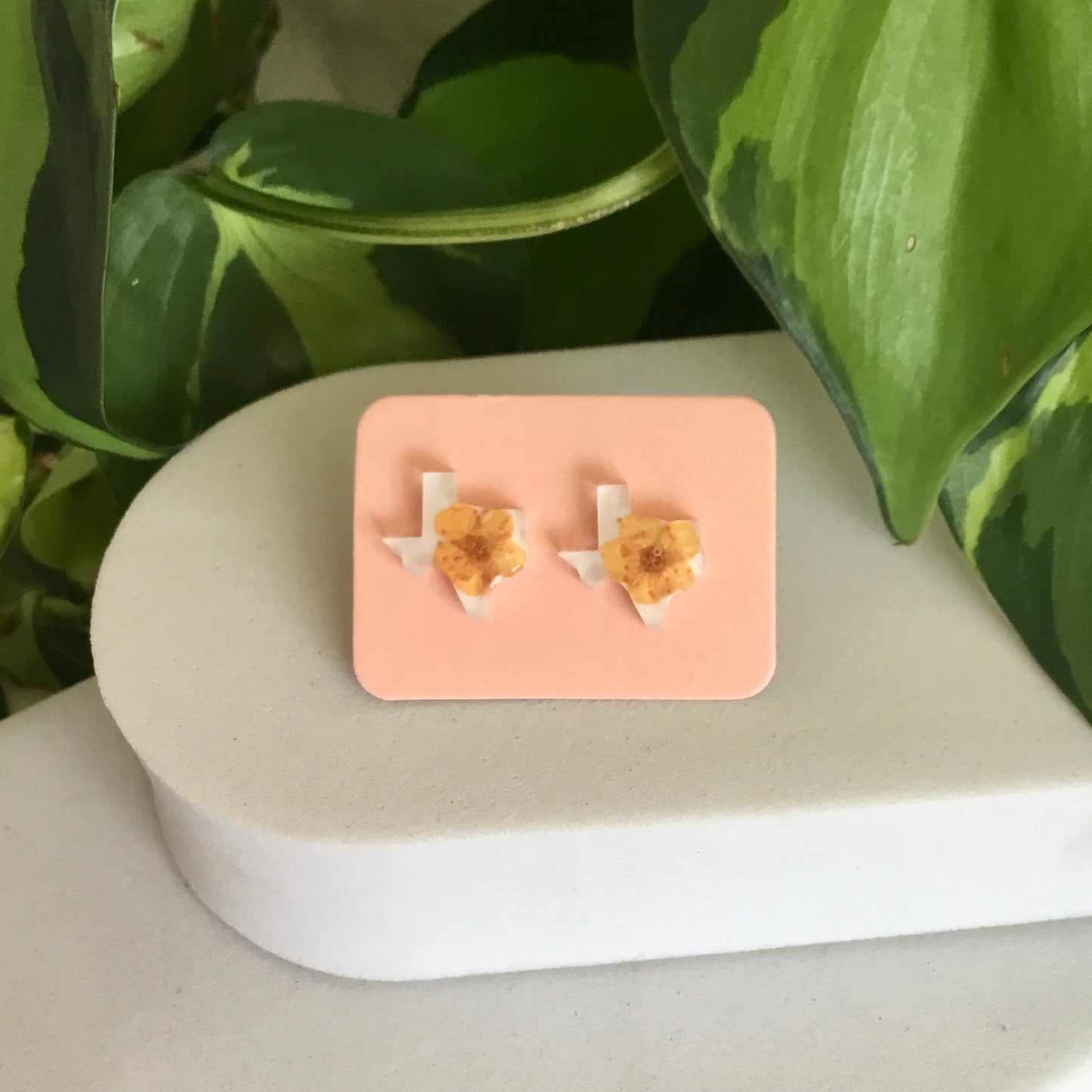 Real Flower Texas Stud Earring