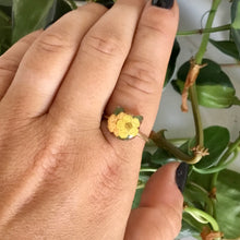Real Flower Cat Ring