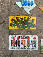 Hand painted Texas license plates