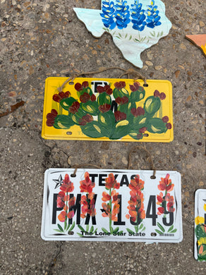 Hand painted Texas license plates