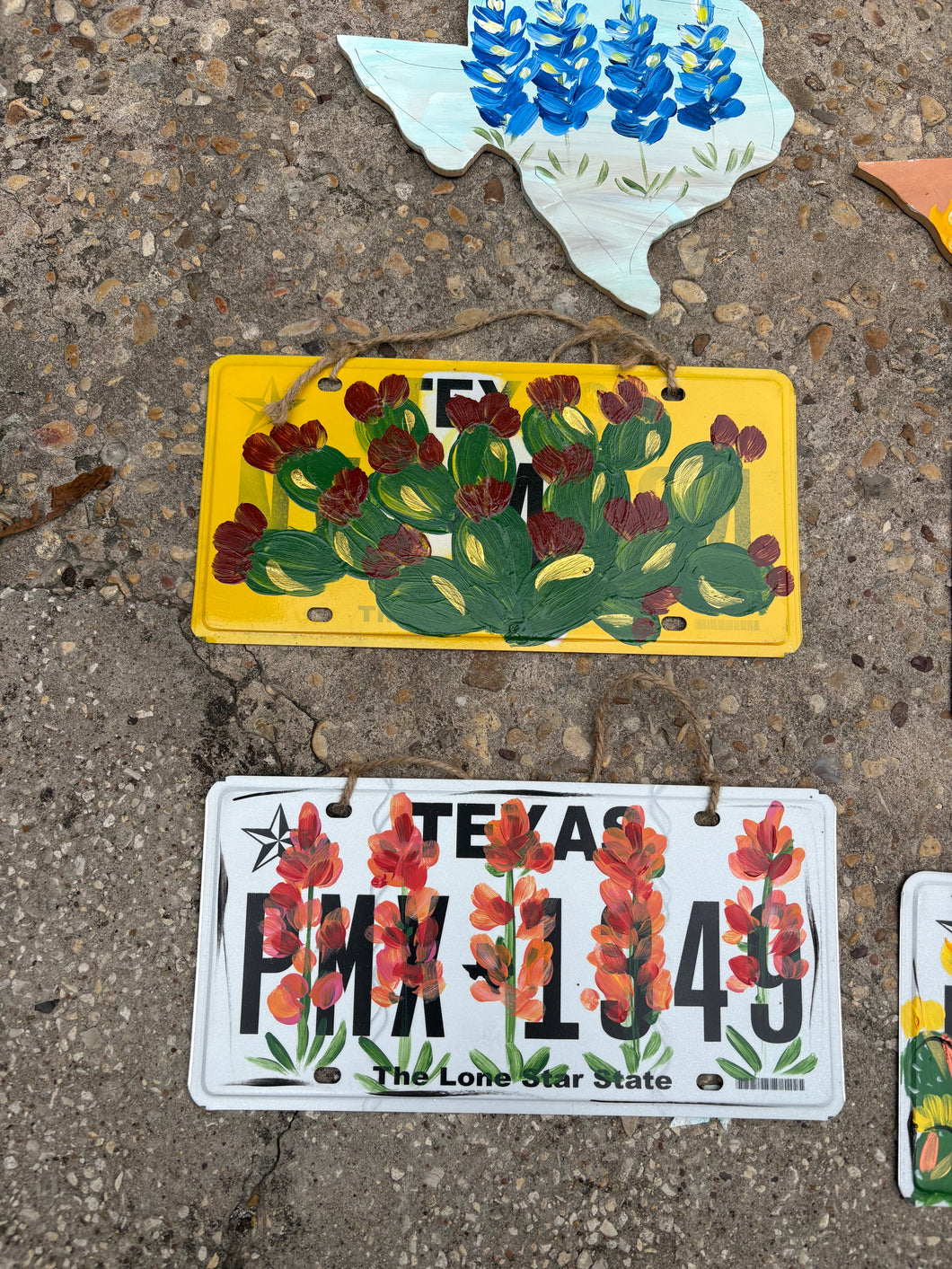 Hand painted Texas license plates