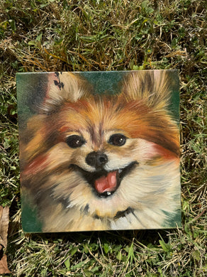 Pomeranian Oil Painting