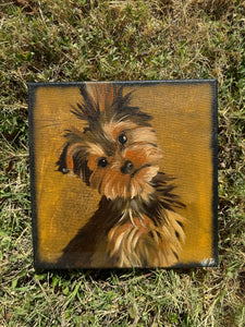 Yorkie Oil Painting