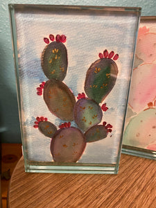 4x6 Cactus Watercolor framed paintings