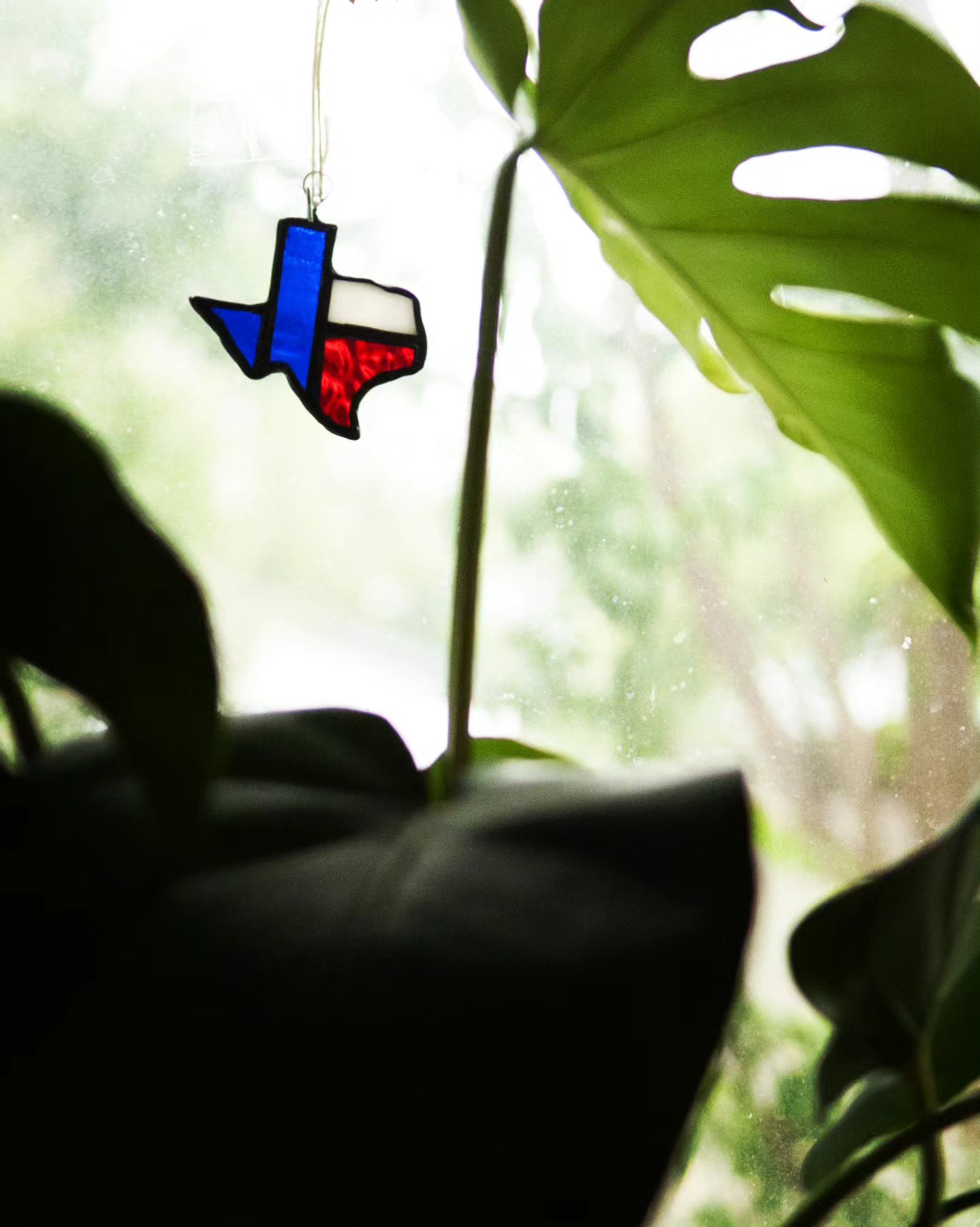 Texas